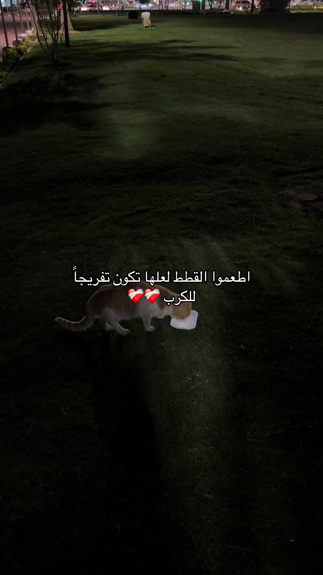 @ذكرى 🍂☁️
