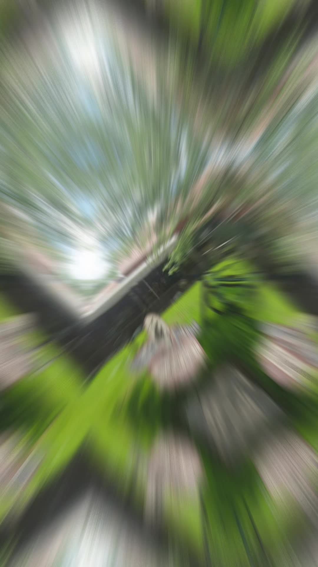 @thschic