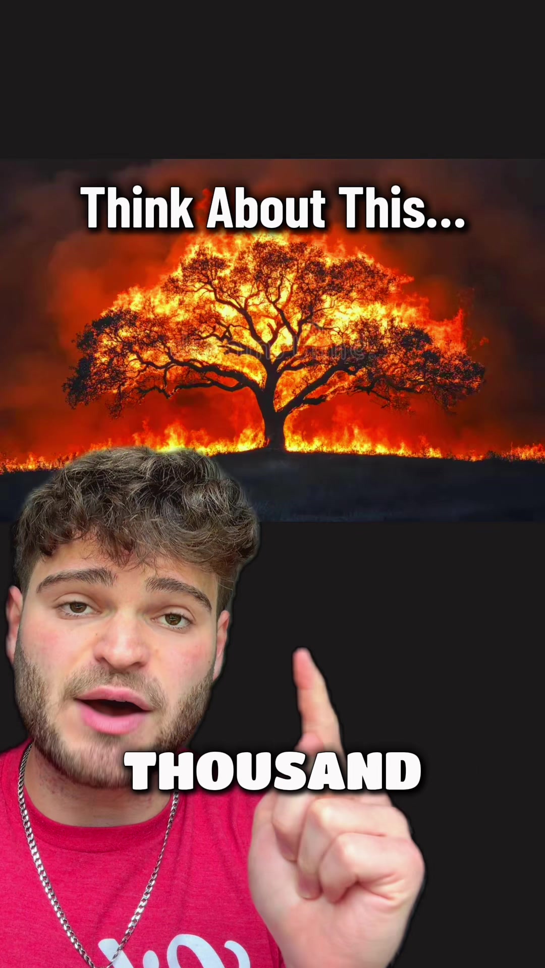 @BibleWithDaniel