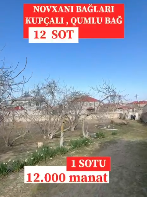 @ABŞERON ƏMLAK N1