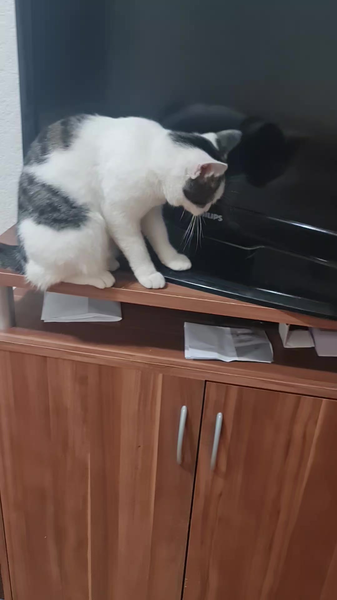 @😛Катюша😛
