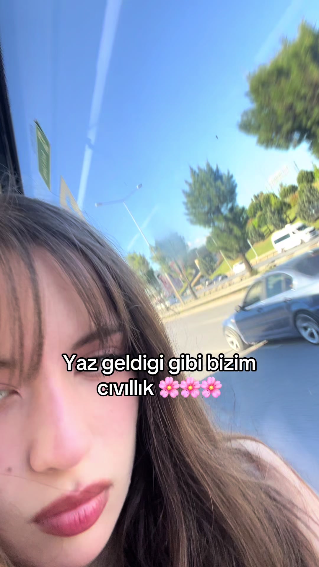 @Ceylin
