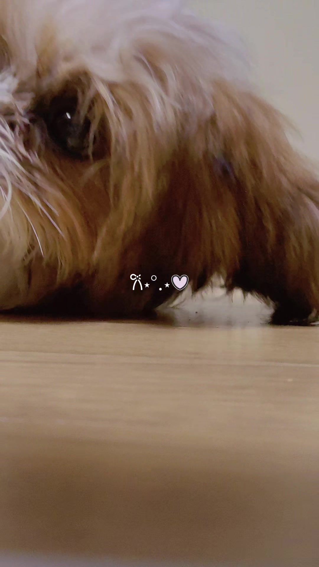 @Kim민경