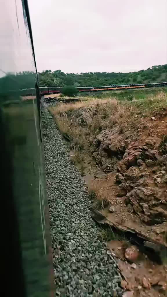 @Diana Lucero Montejano