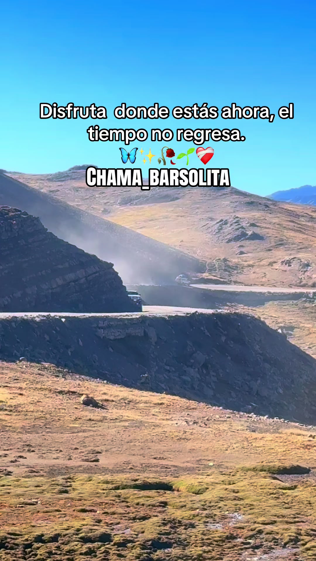 @CHAMA_BARSOLITA