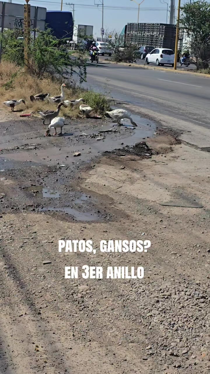 @Yo Amo Aguascalientes