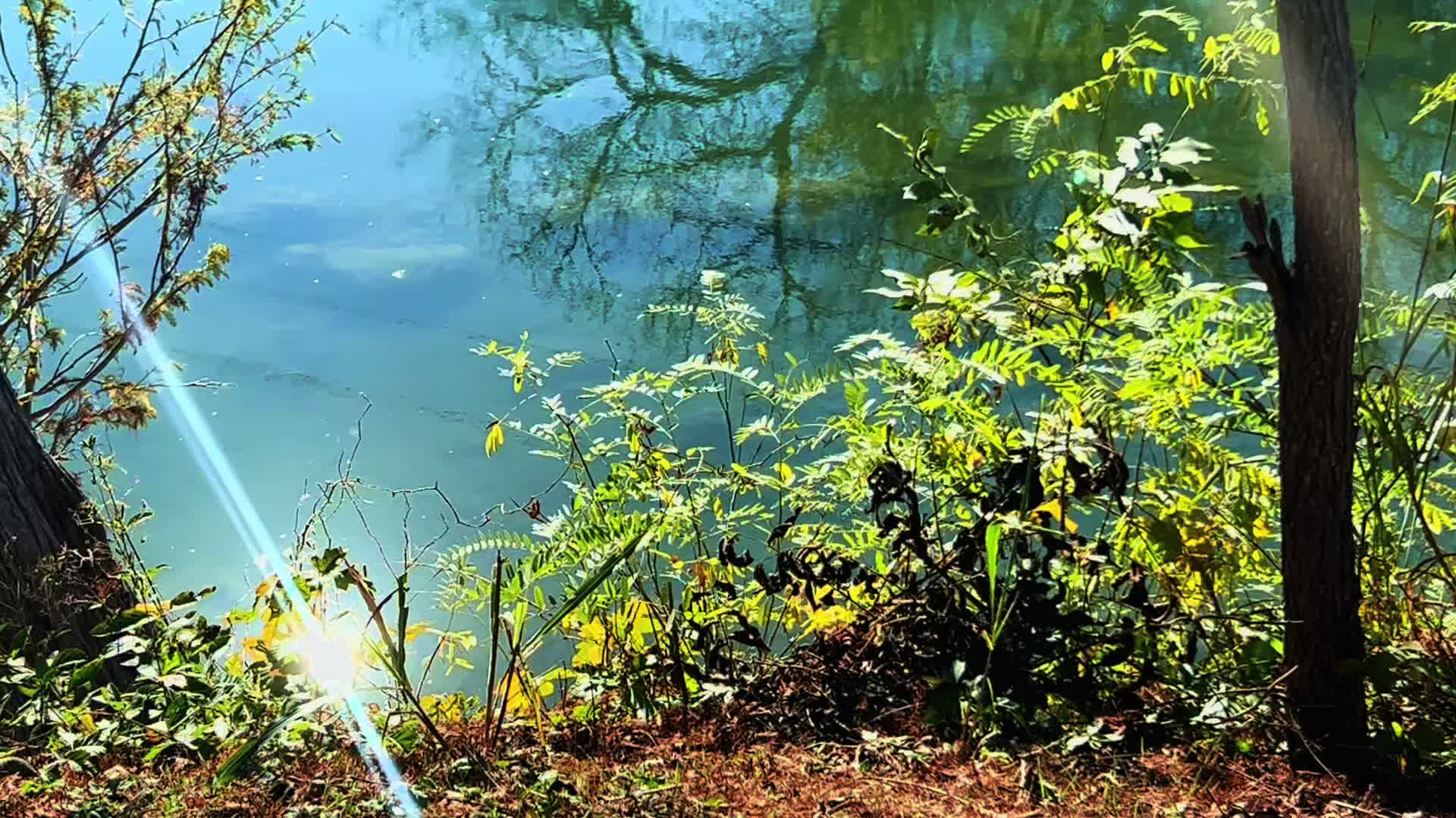 @Bri.lofi