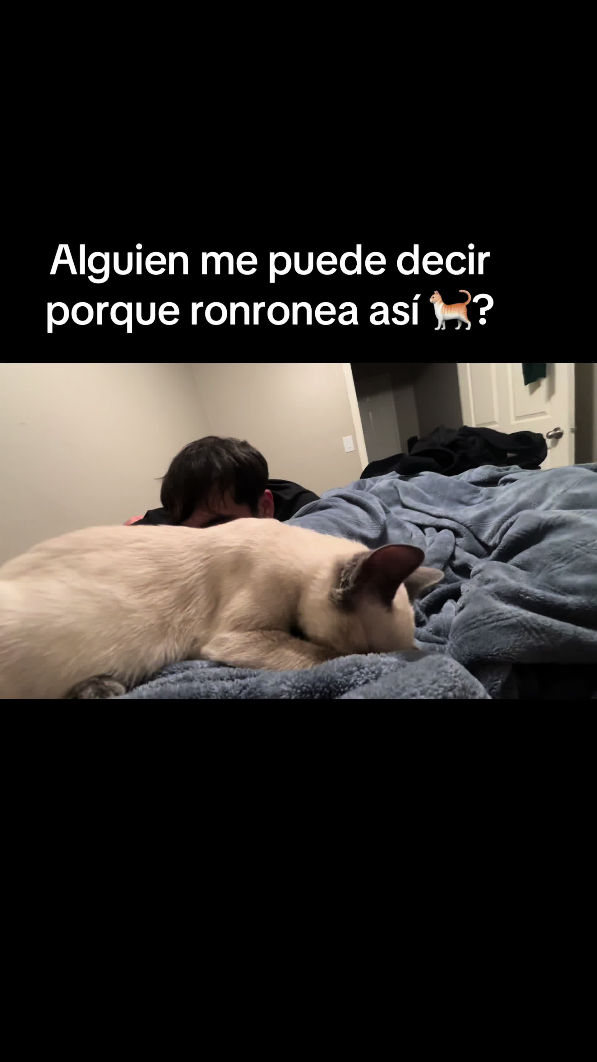@Brianna🇭🇳🫦💅