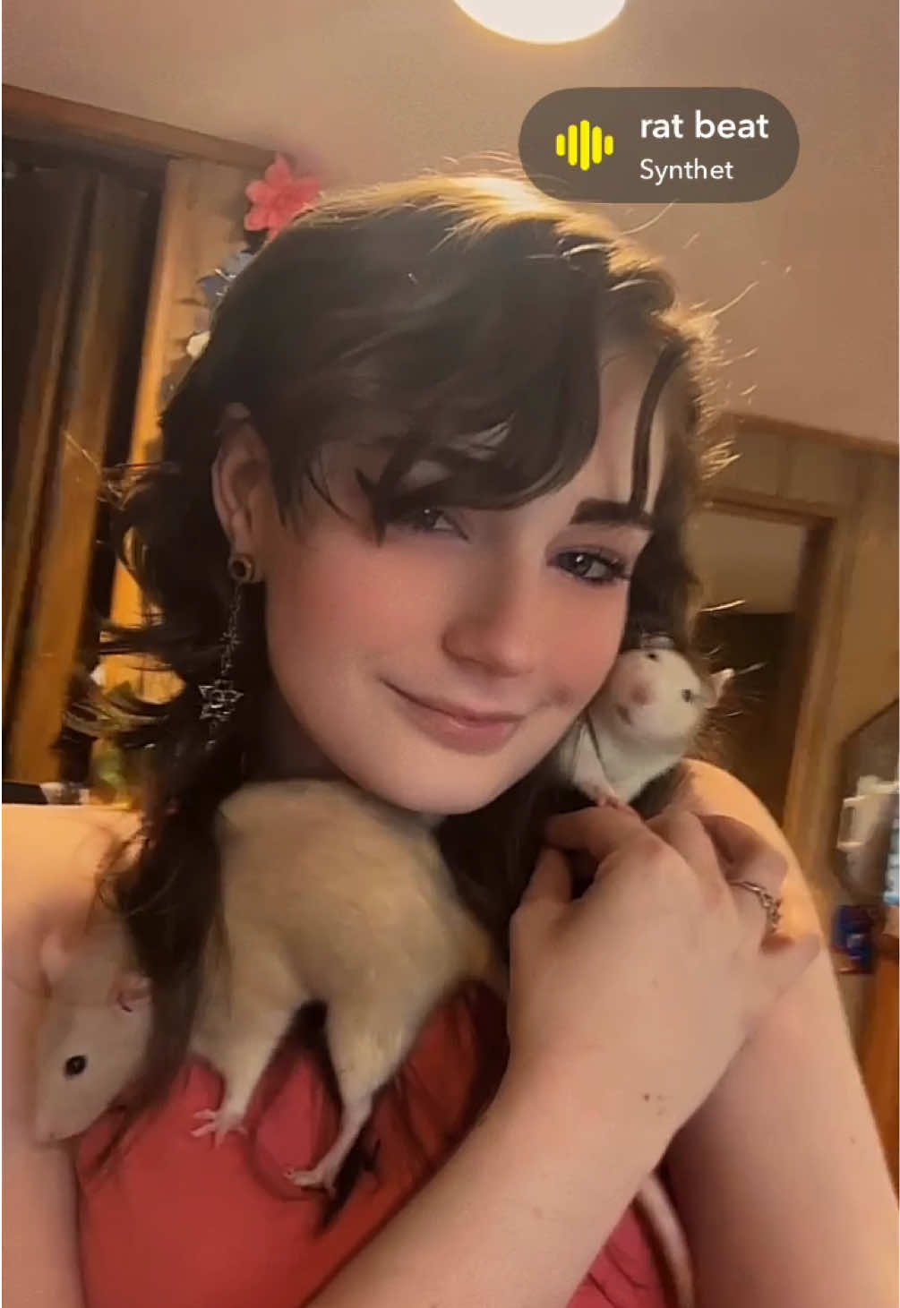 @lookatmyrodents