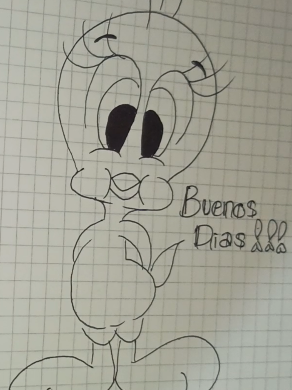 @ASESORÍAS DOKI❤️