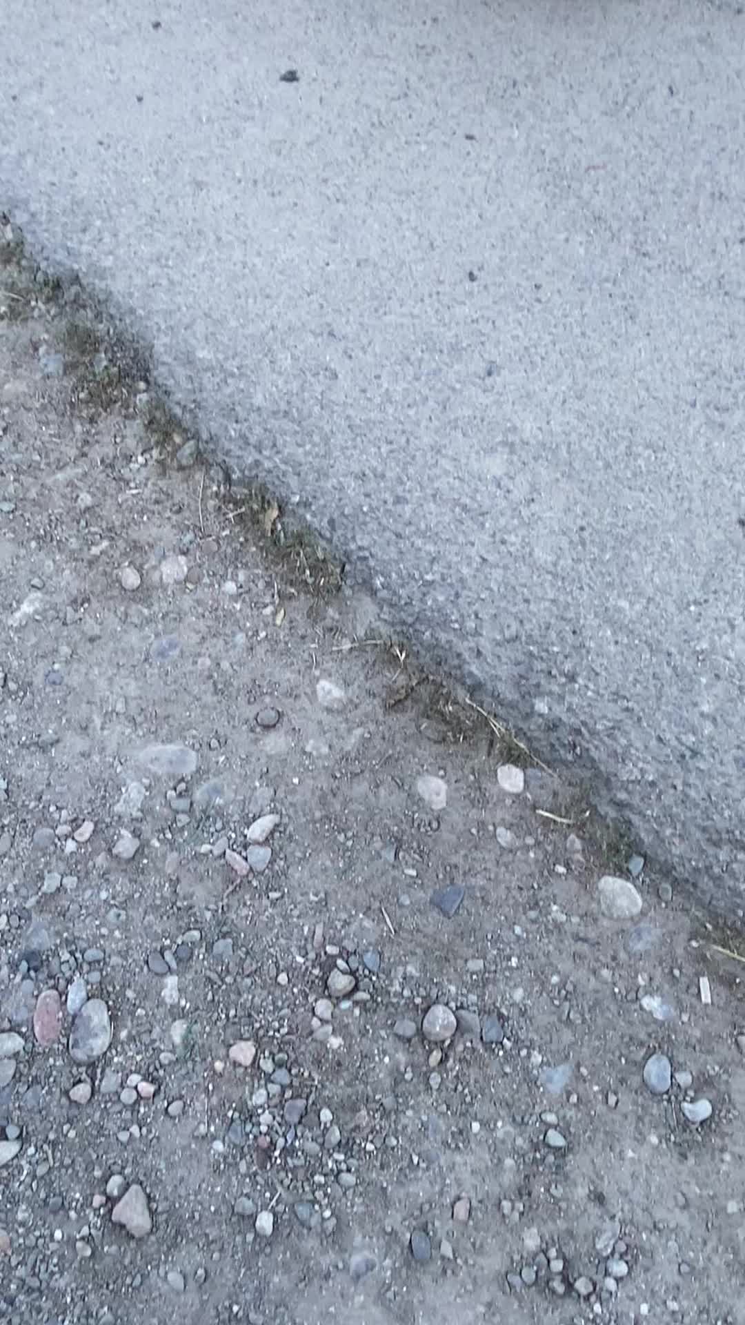 @daukawxx