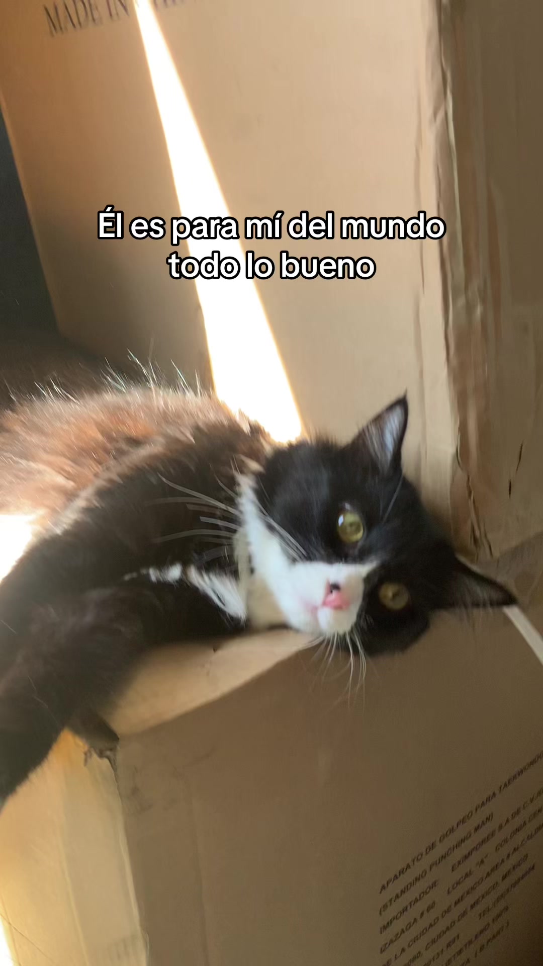 @PAU ALEGR&Iacute;A