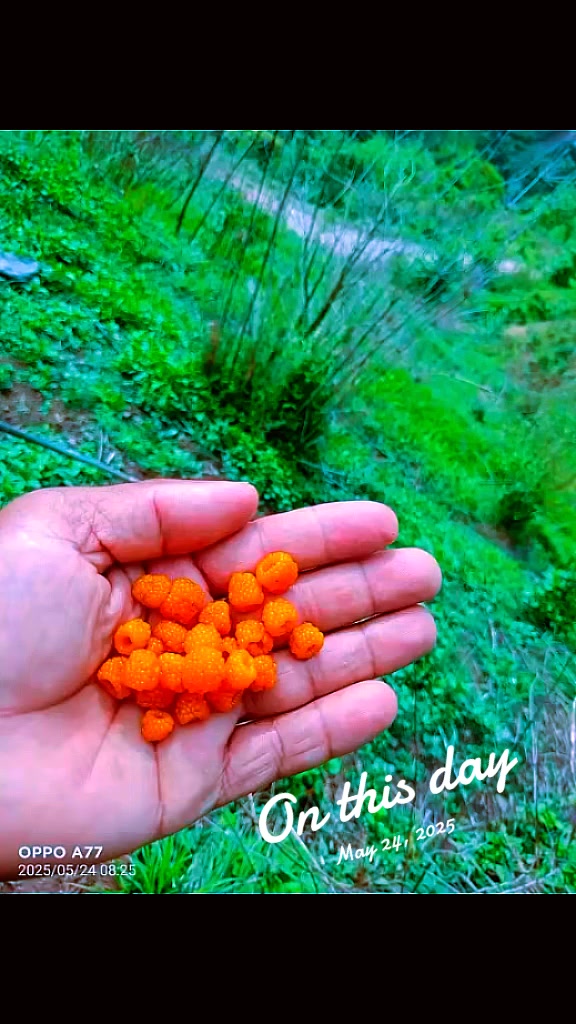 @बिन्दास