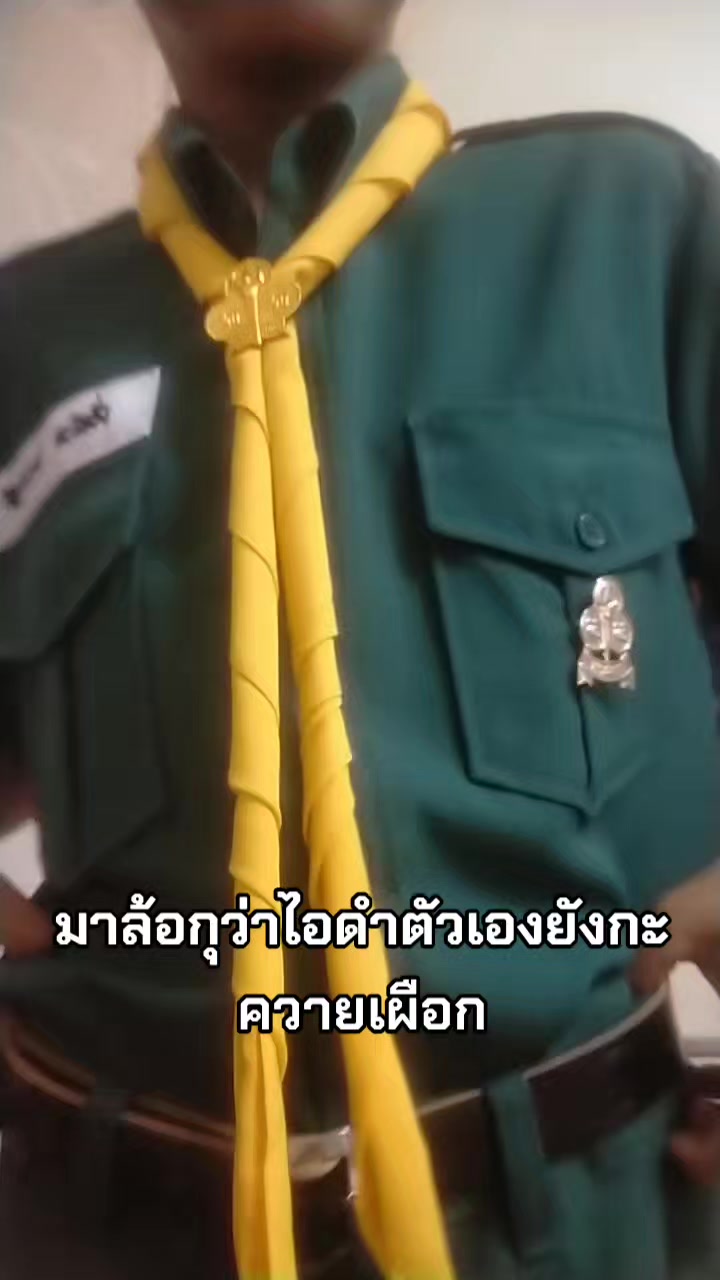 @นกฮูกแมว