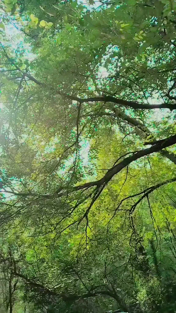 @🦋⍣⃝🇦𝐌𝐉𝐀⍣⃝ 𝐃🕊