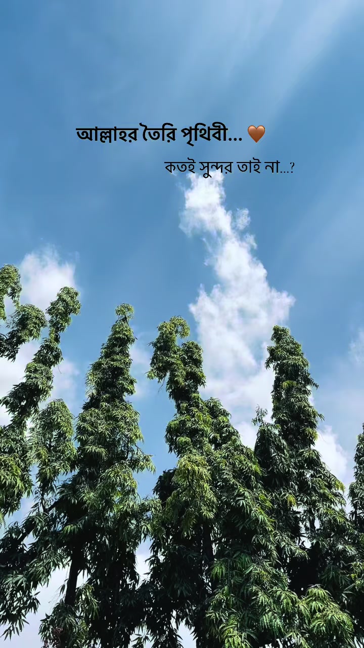 @𝕊𝕒𝕛𝕛𝕒𝕕 ℍ𝕠𝕤𝕤𝕒𝕚𝕟