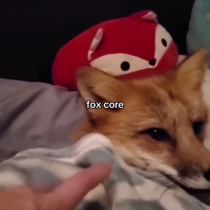 @vani