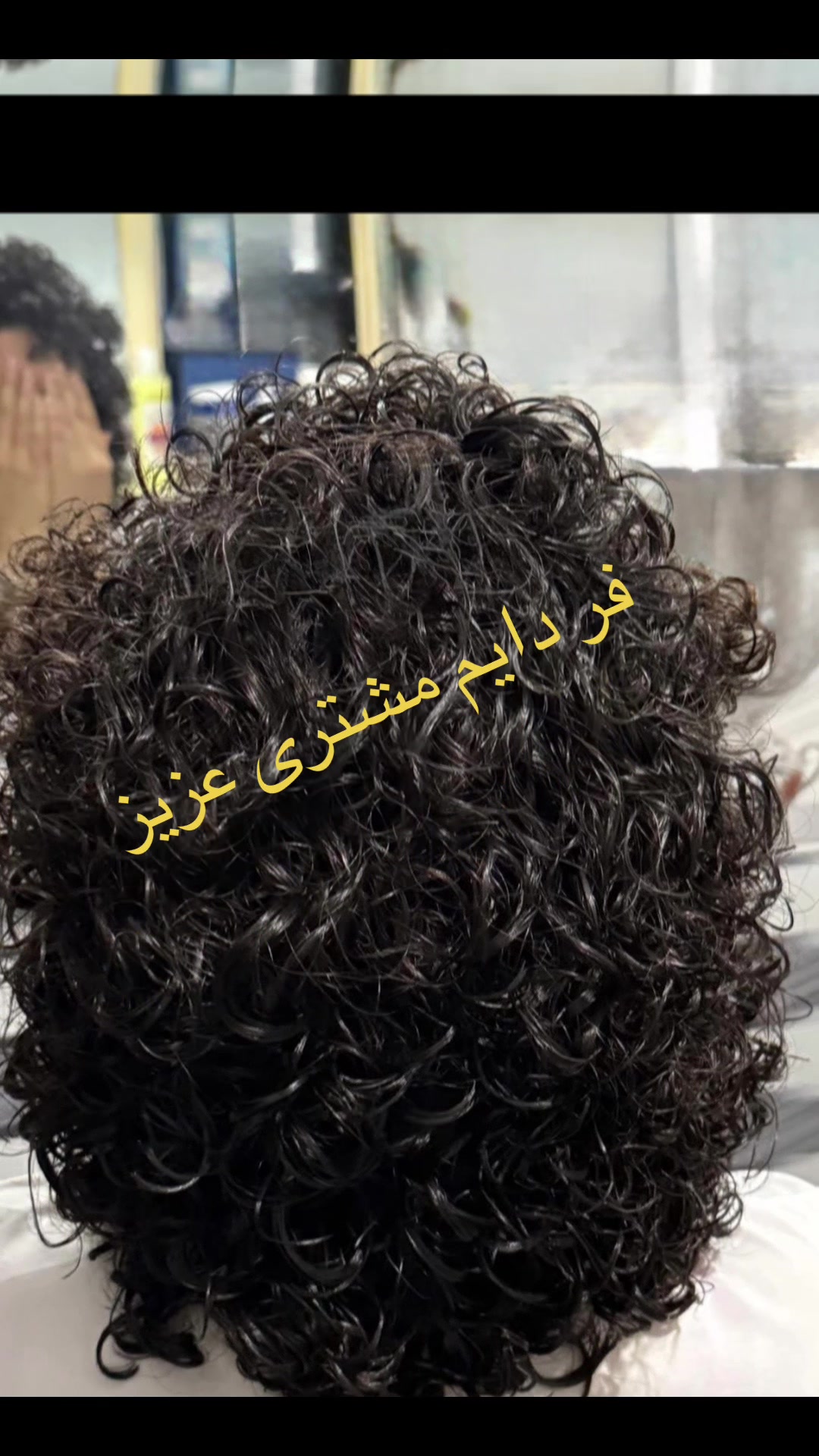 @zari
