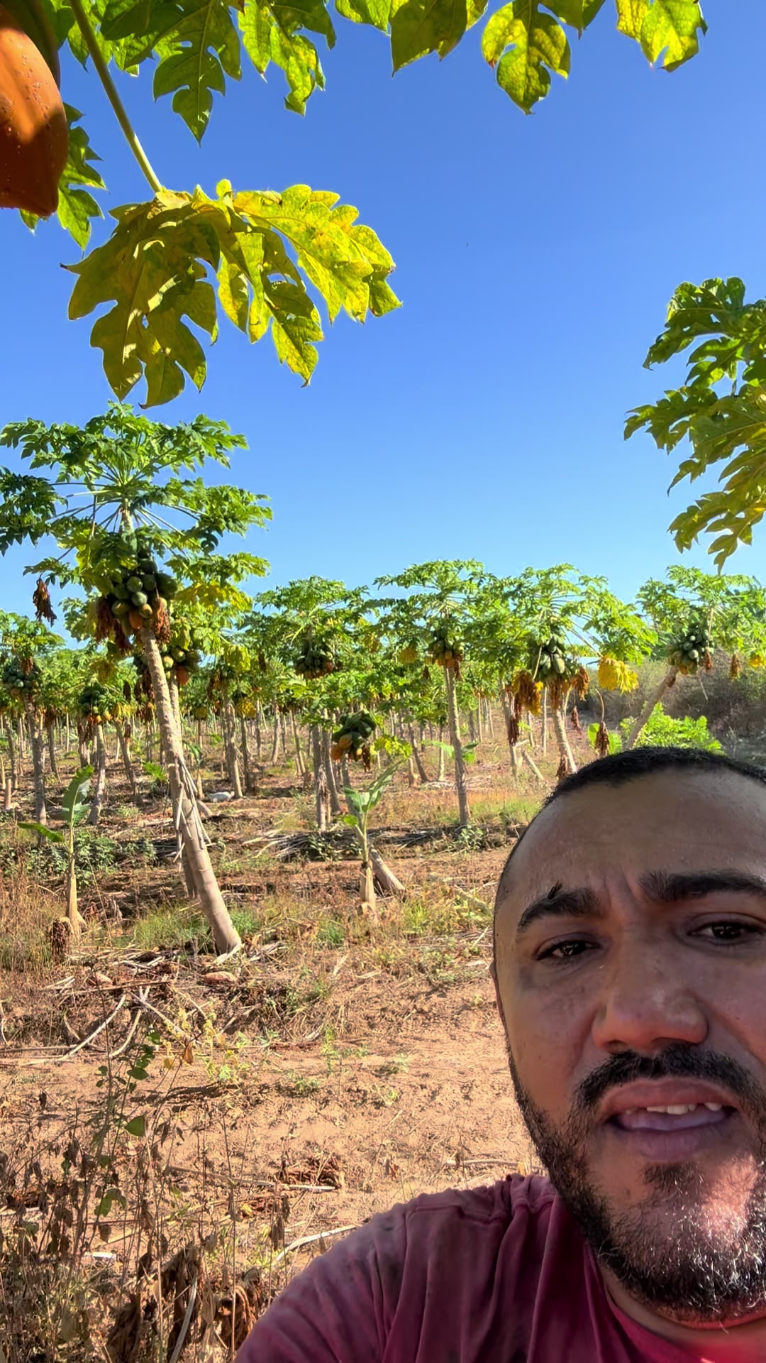 @Cícero Maicon Lopes