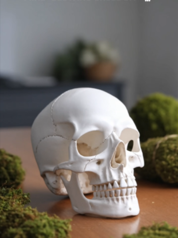 @Skulls and Darkness
