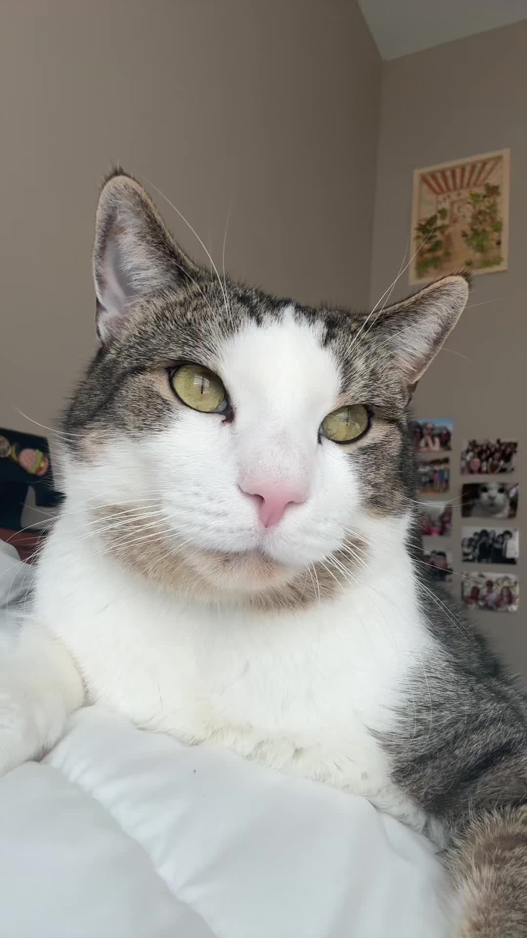 @ILuvChocol8DoUHveChocol8PlsThx