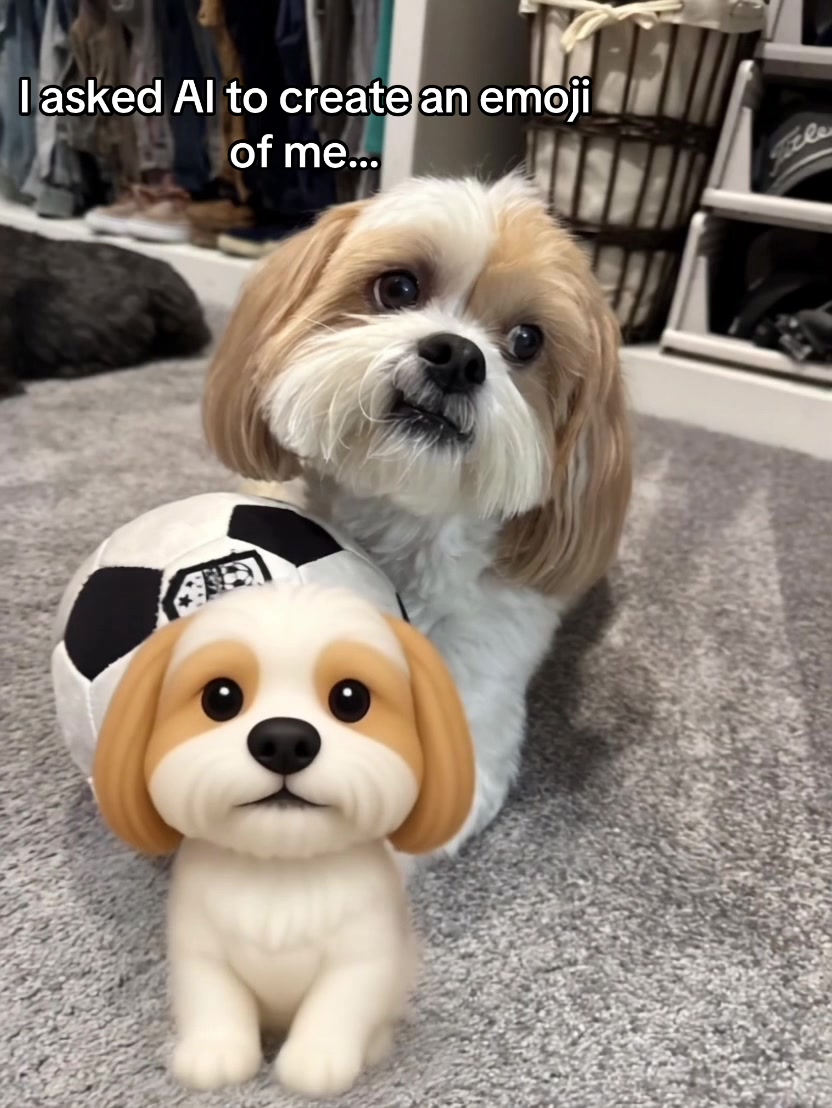 @Bear & Pearl 🐶 🐕&zwj;🦺