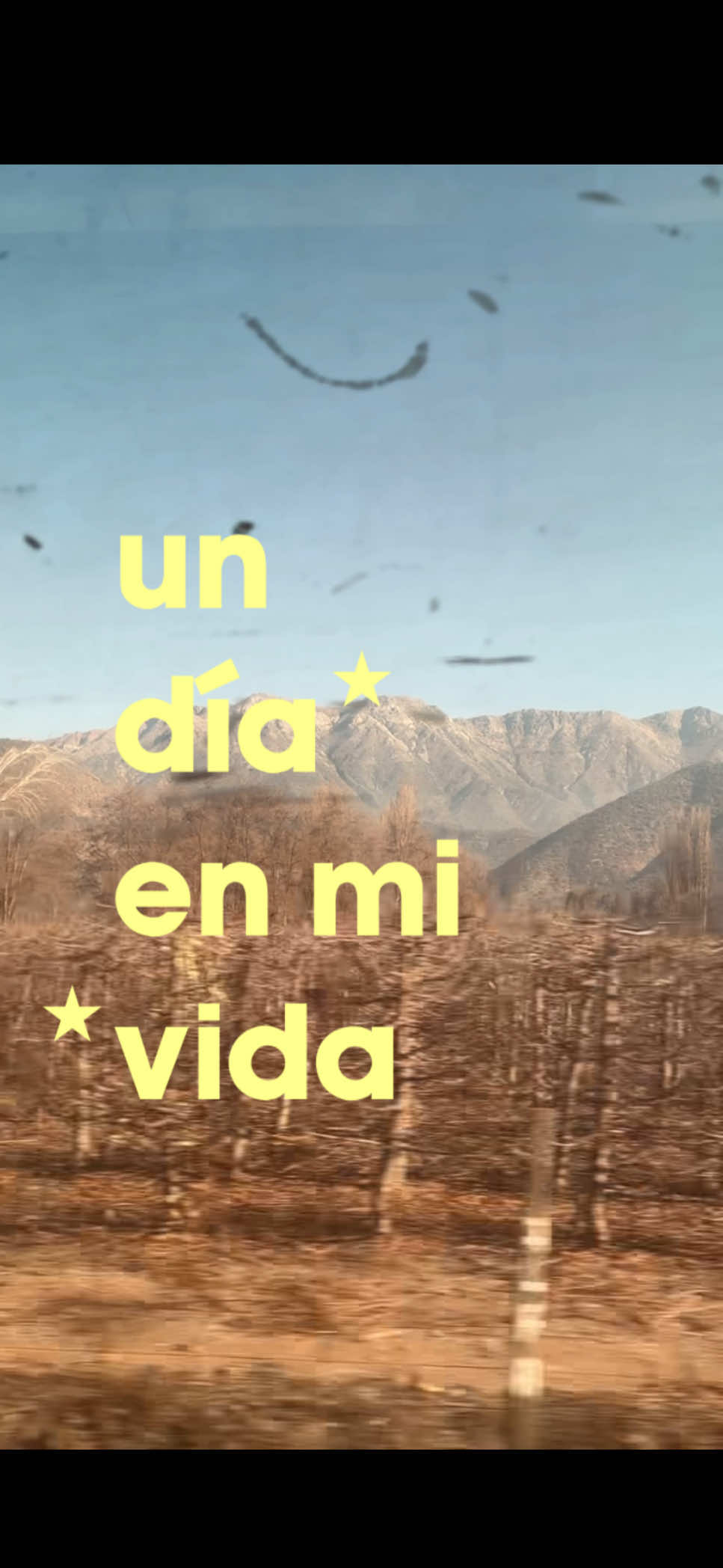 @catalina ⋆˚✿˖&deg; 𐙚