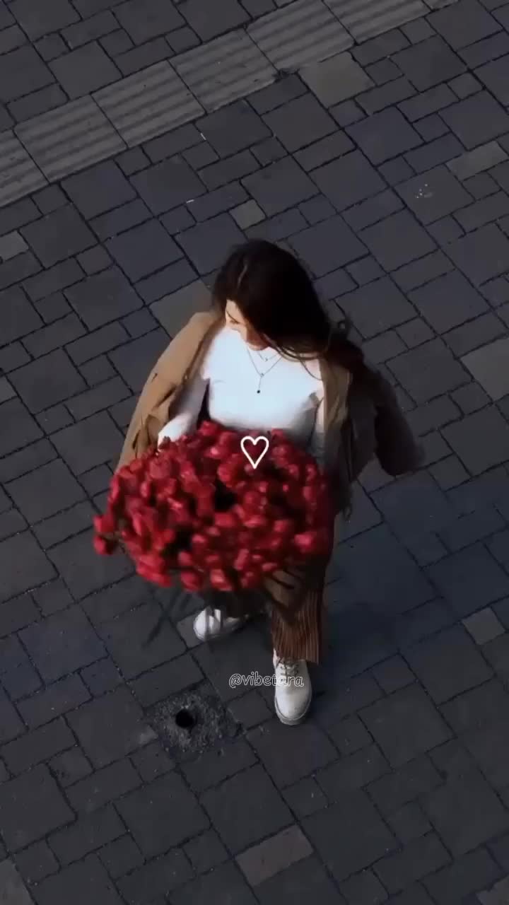 @。⋆༶⋆˙𝖁𝖎𝖇𝖊 𝖙𝖆𝖗𝖆❀.⋆。⋆༶⋆˙