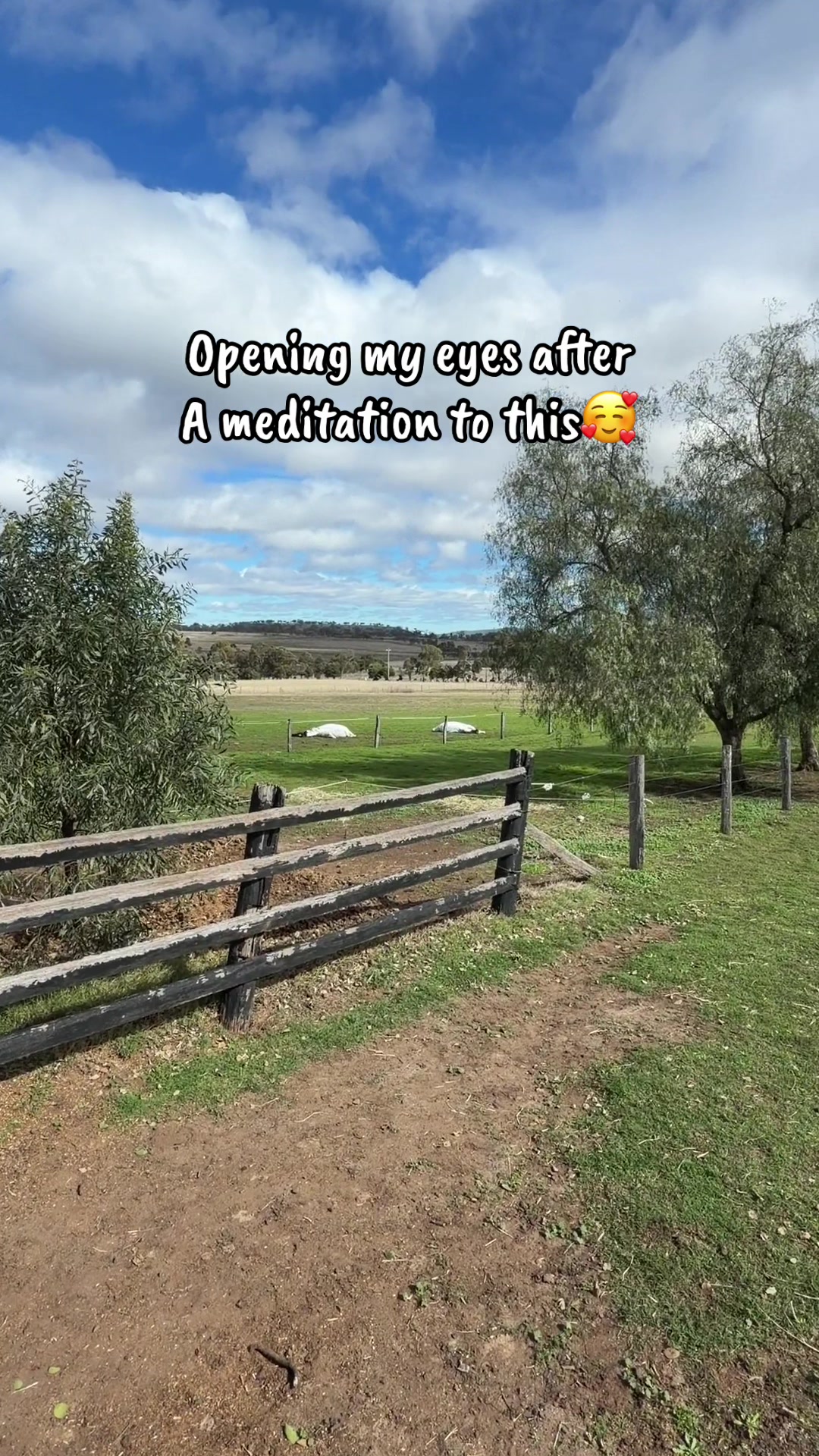 @KimDaleyhorsemanship