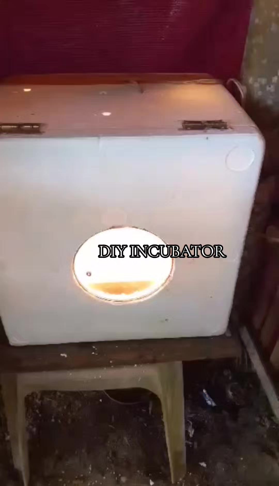 @❤♡♥♡ⁿʸˡʳᵃᵐ♡♥♡❤