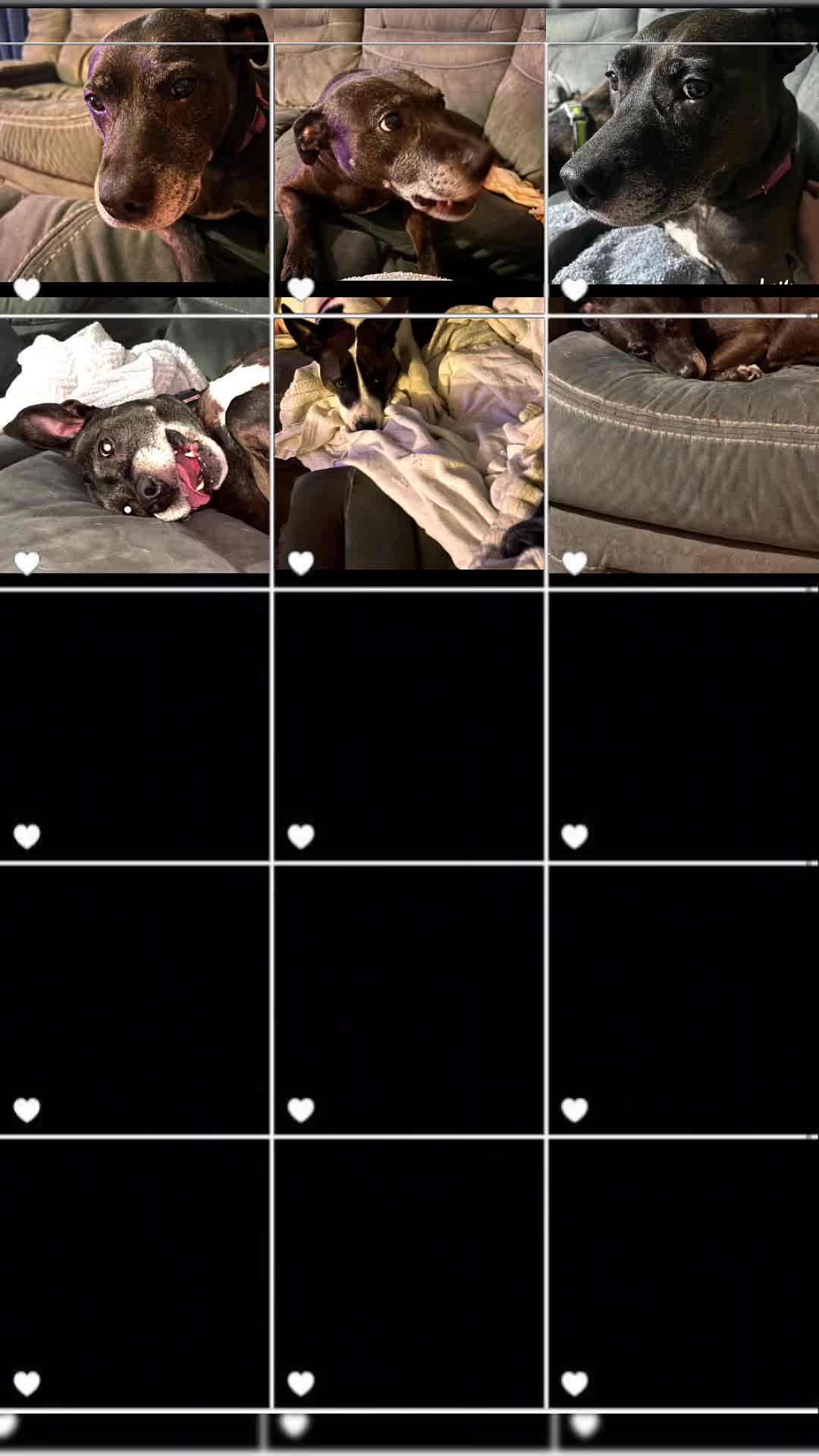 @warriorgirl_Traci 72