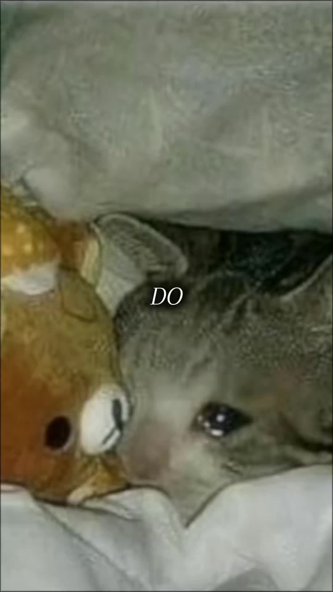 @. A