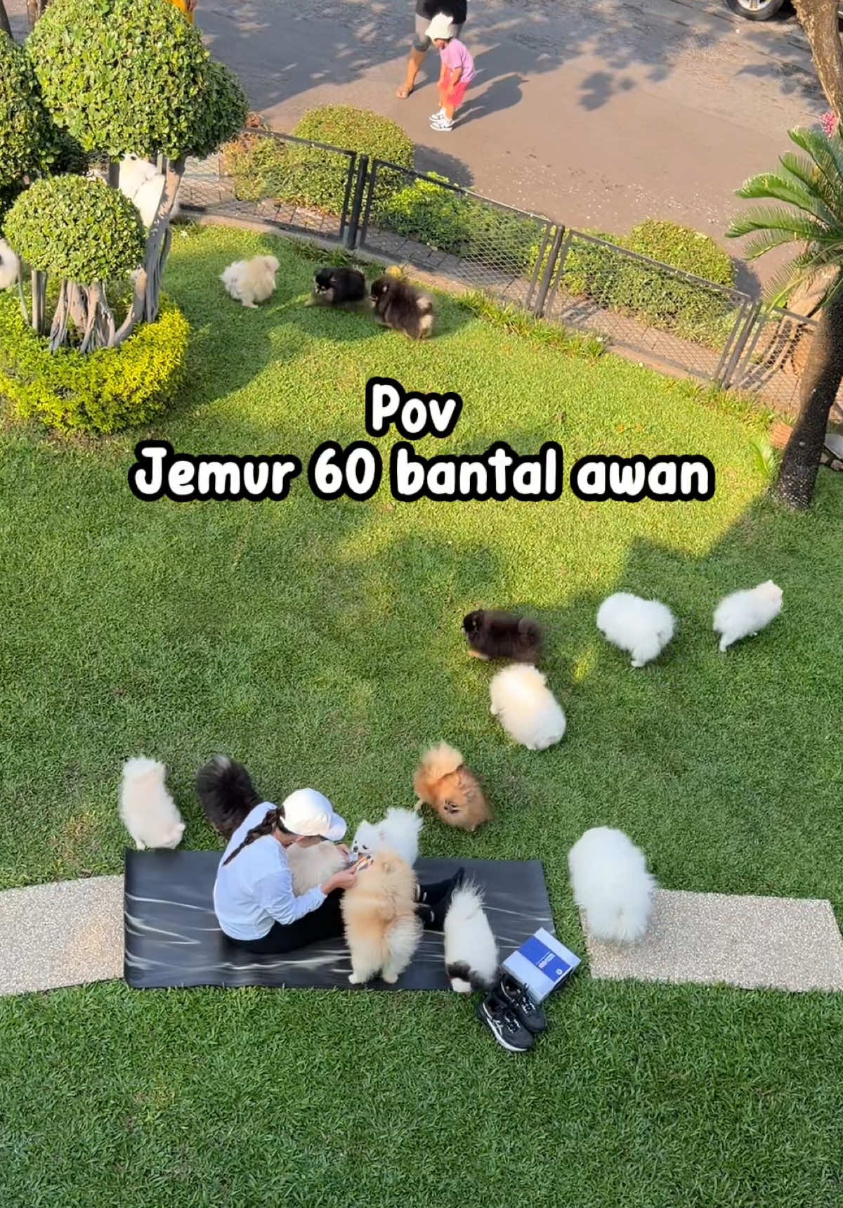 @Chipas Family
