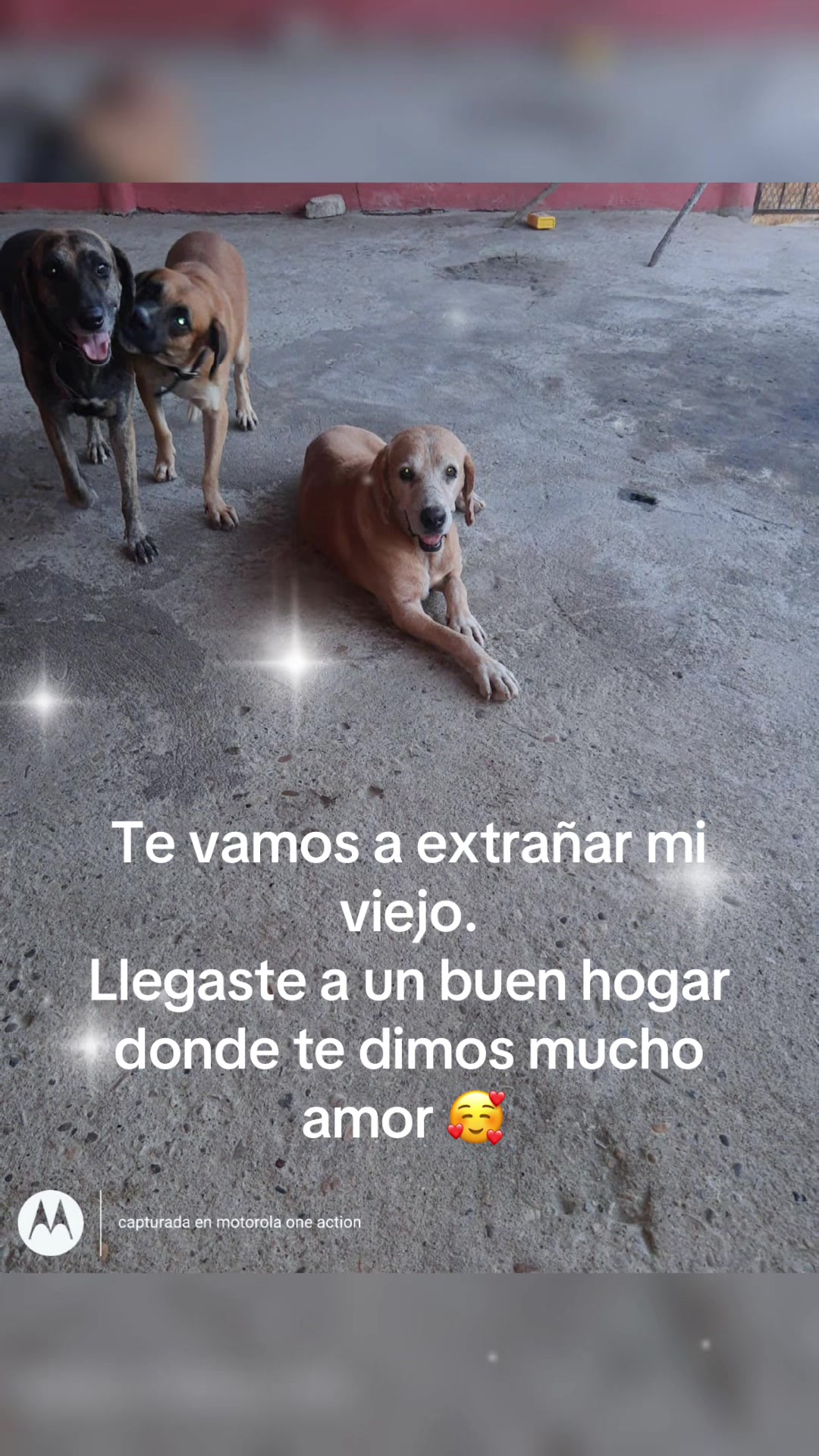 @Amy 💜 Mami Army 💙💙💜💜