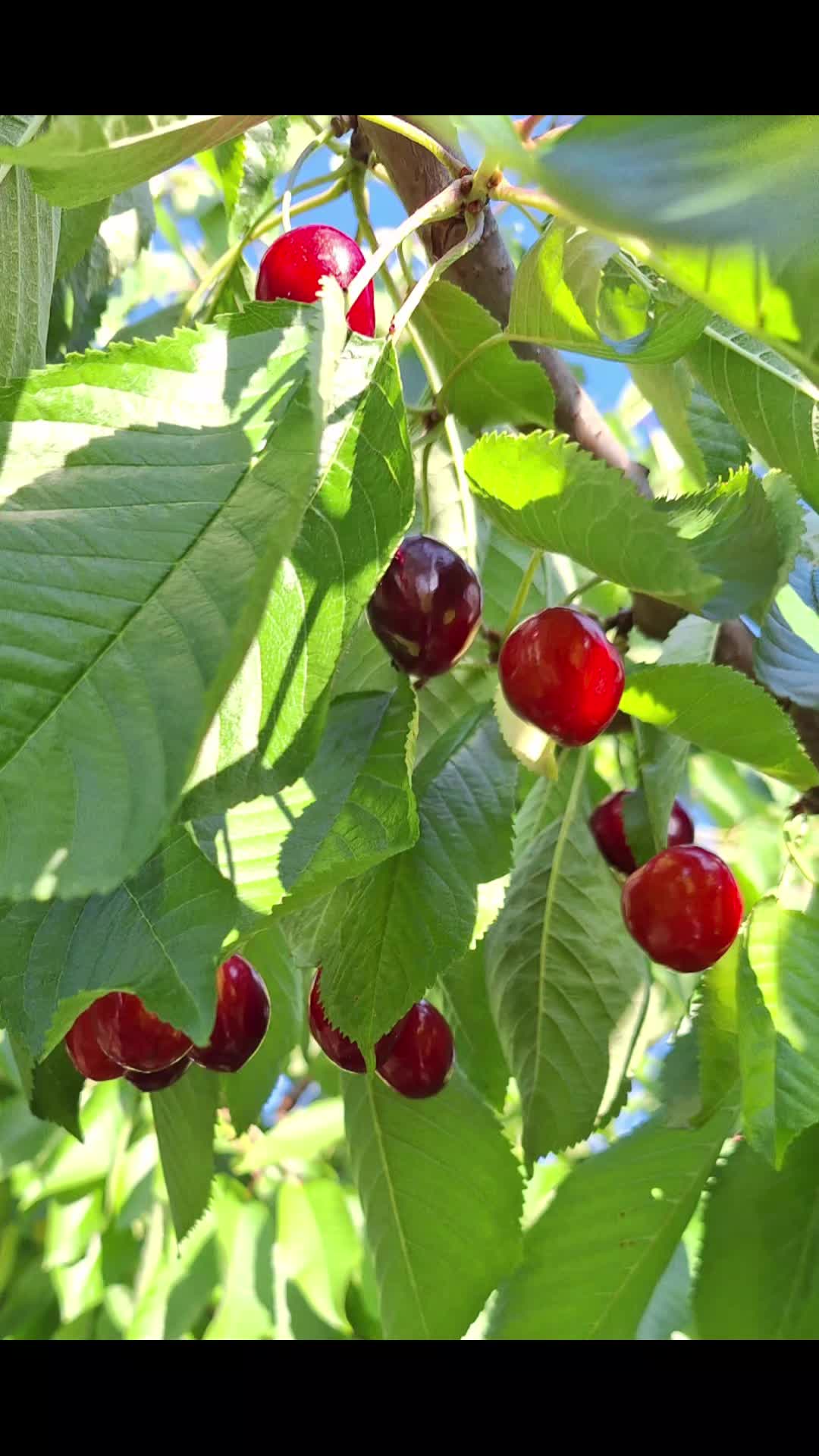 @Natur und Garten