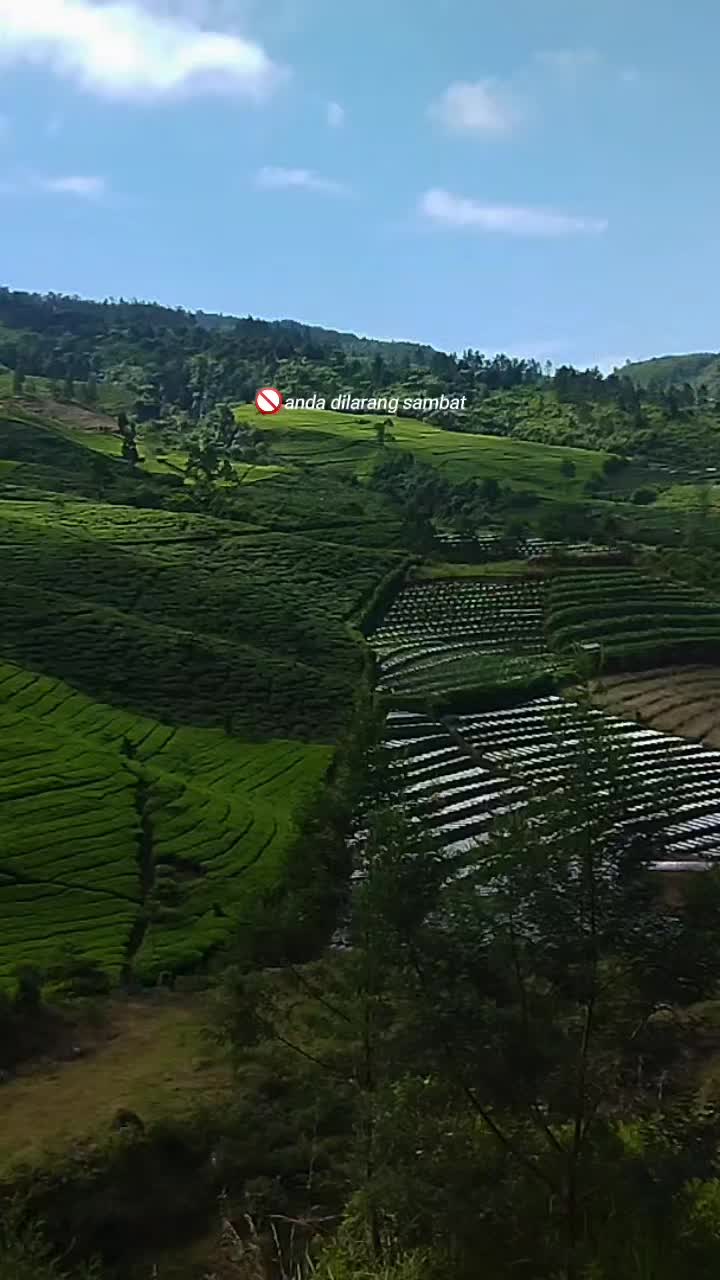 @irvannuri276