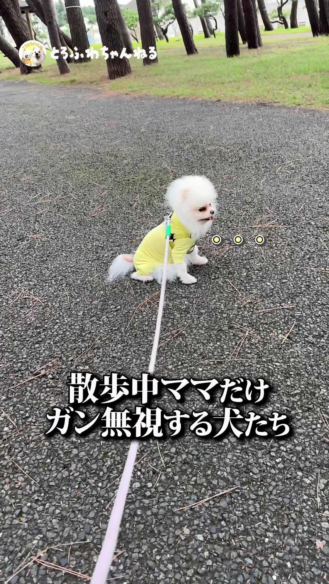 @とろふわ