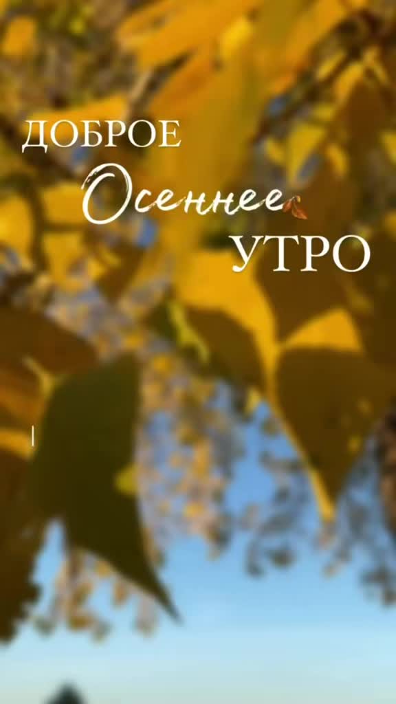 @Юлия🇷🇺🇩🇪🇷🇺
