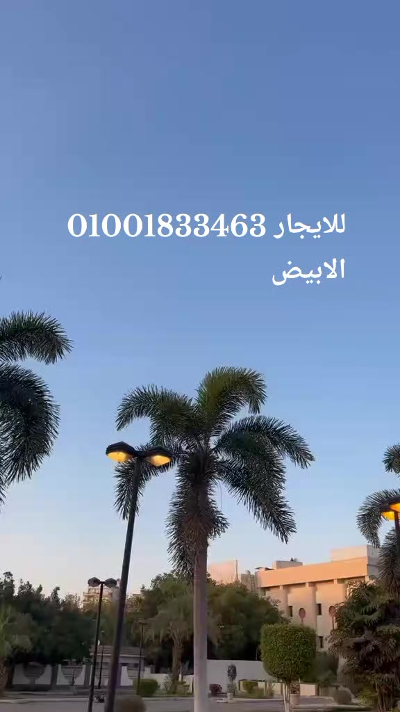 @Ahmed