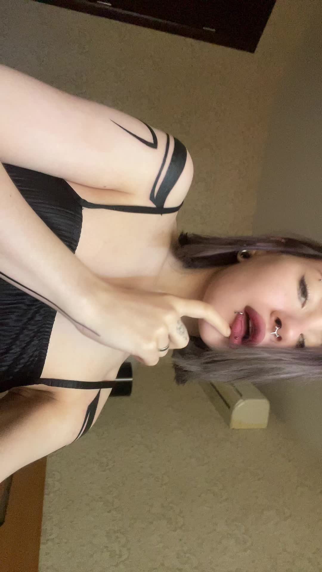 @Schefferdaria🐾