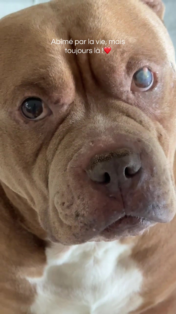 @🧩team bully🐶🧸