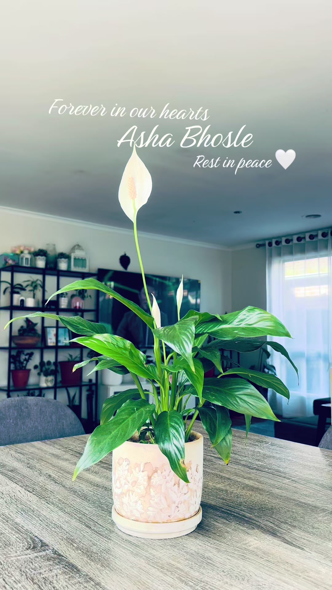 @ahsin stha 🧿 💰