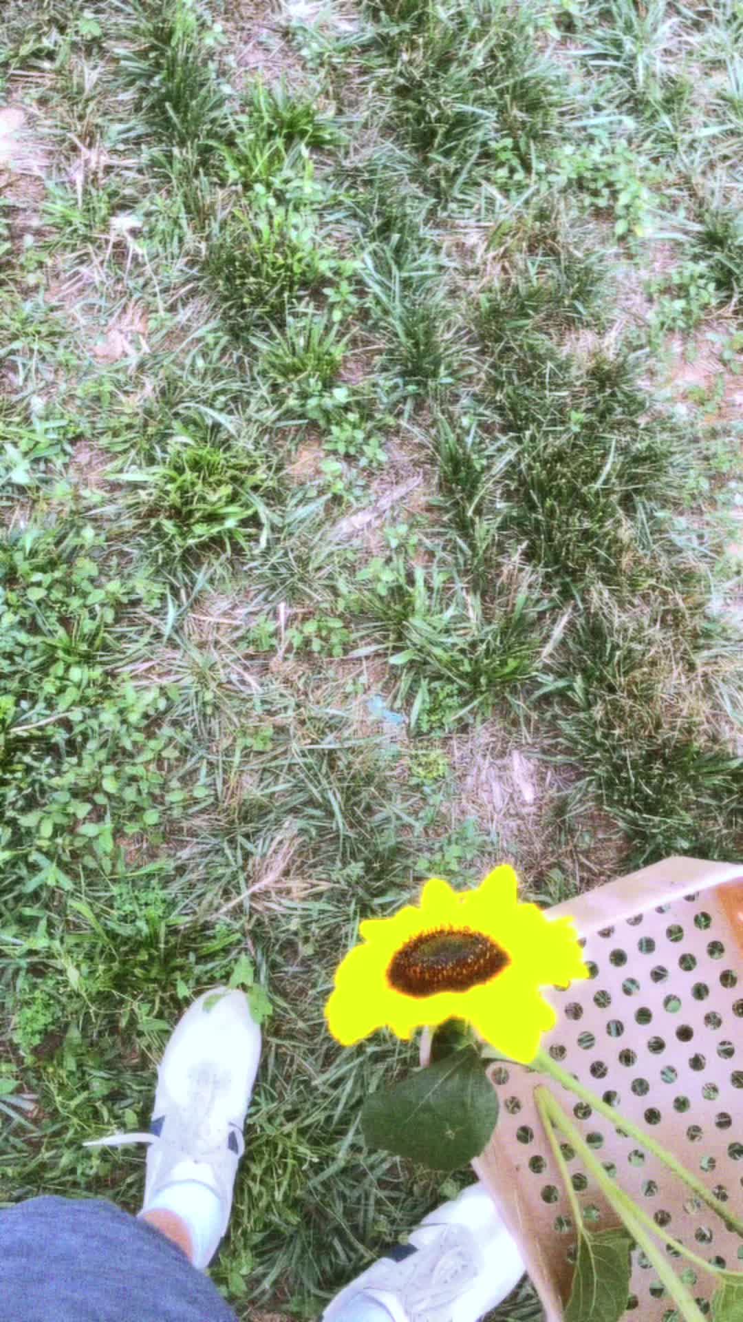 @️