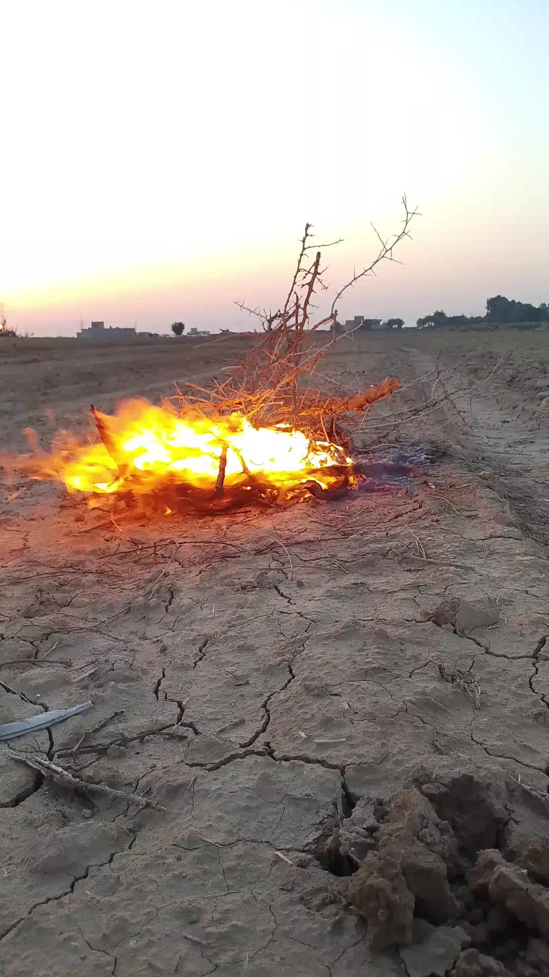 @فيصل 🤔