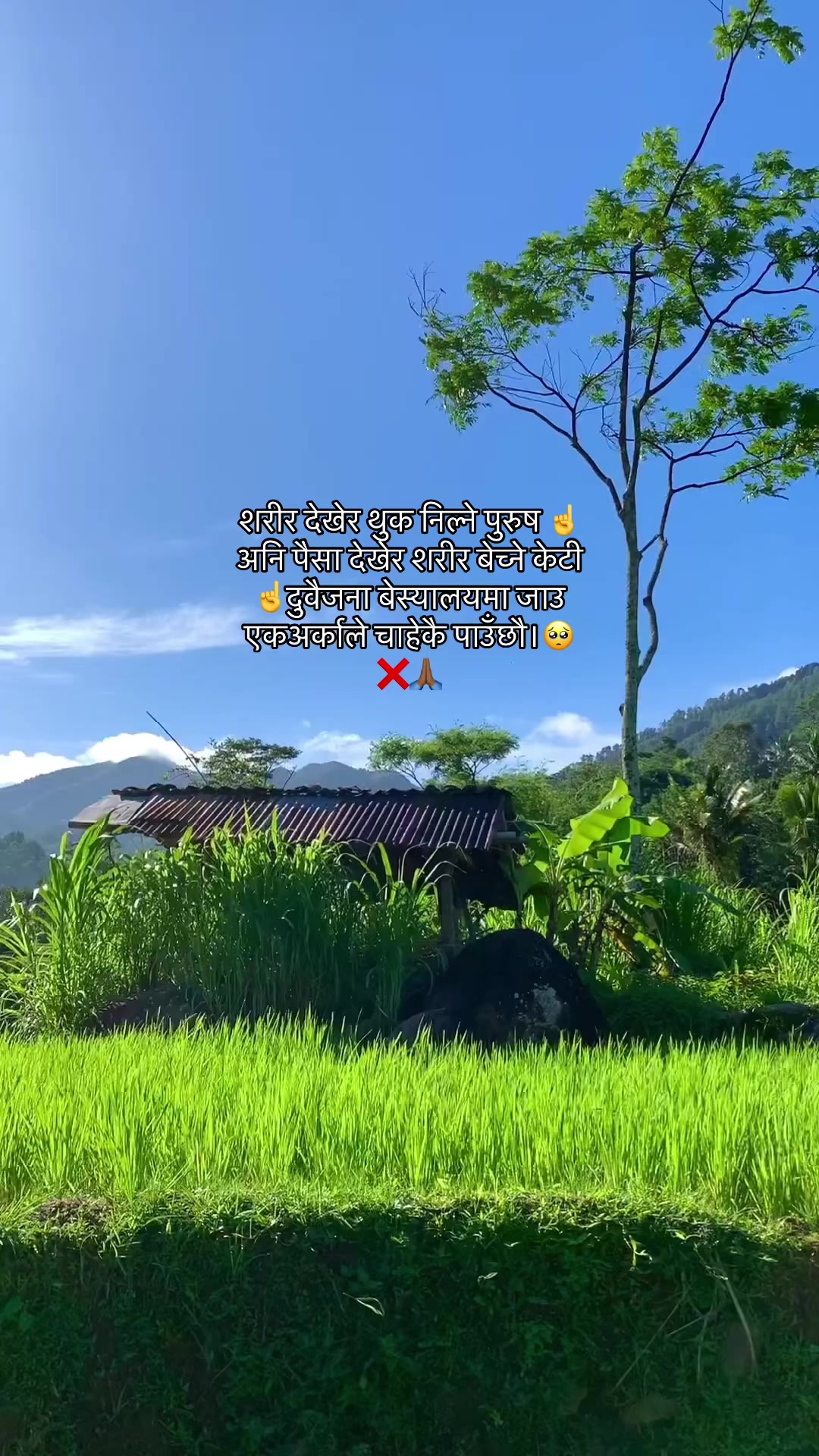 @मनछुनेलाईनहरू🥺