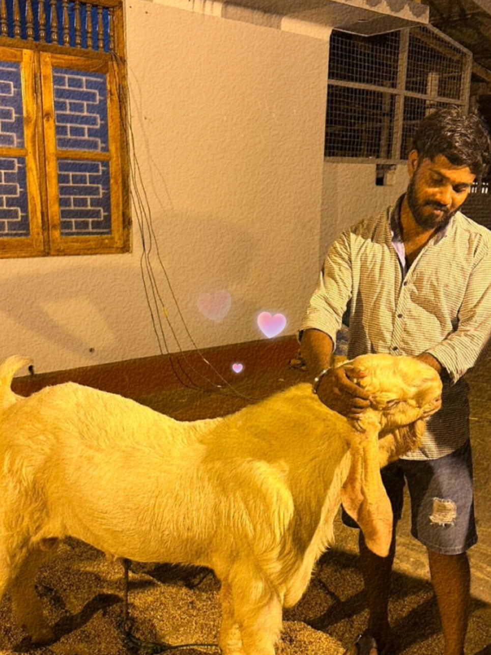 @kanujan