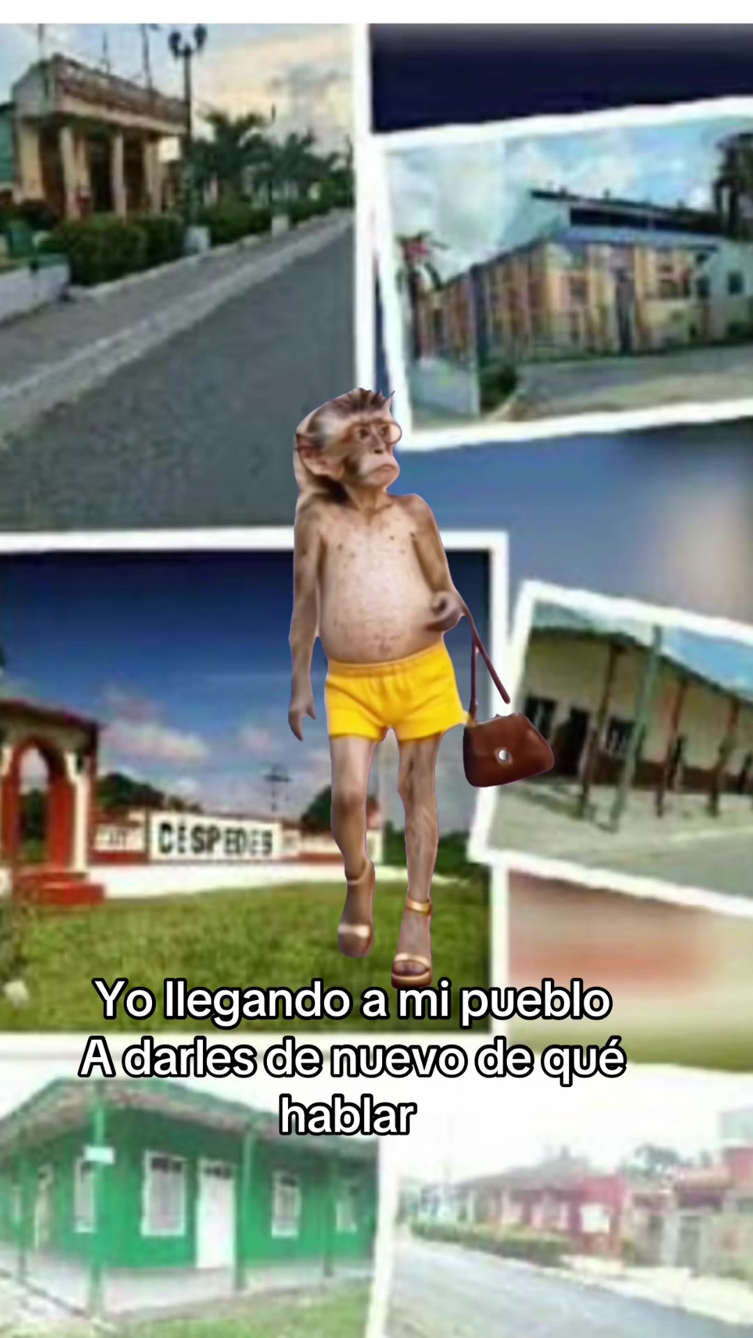 @👑LA-CHIQUI👑