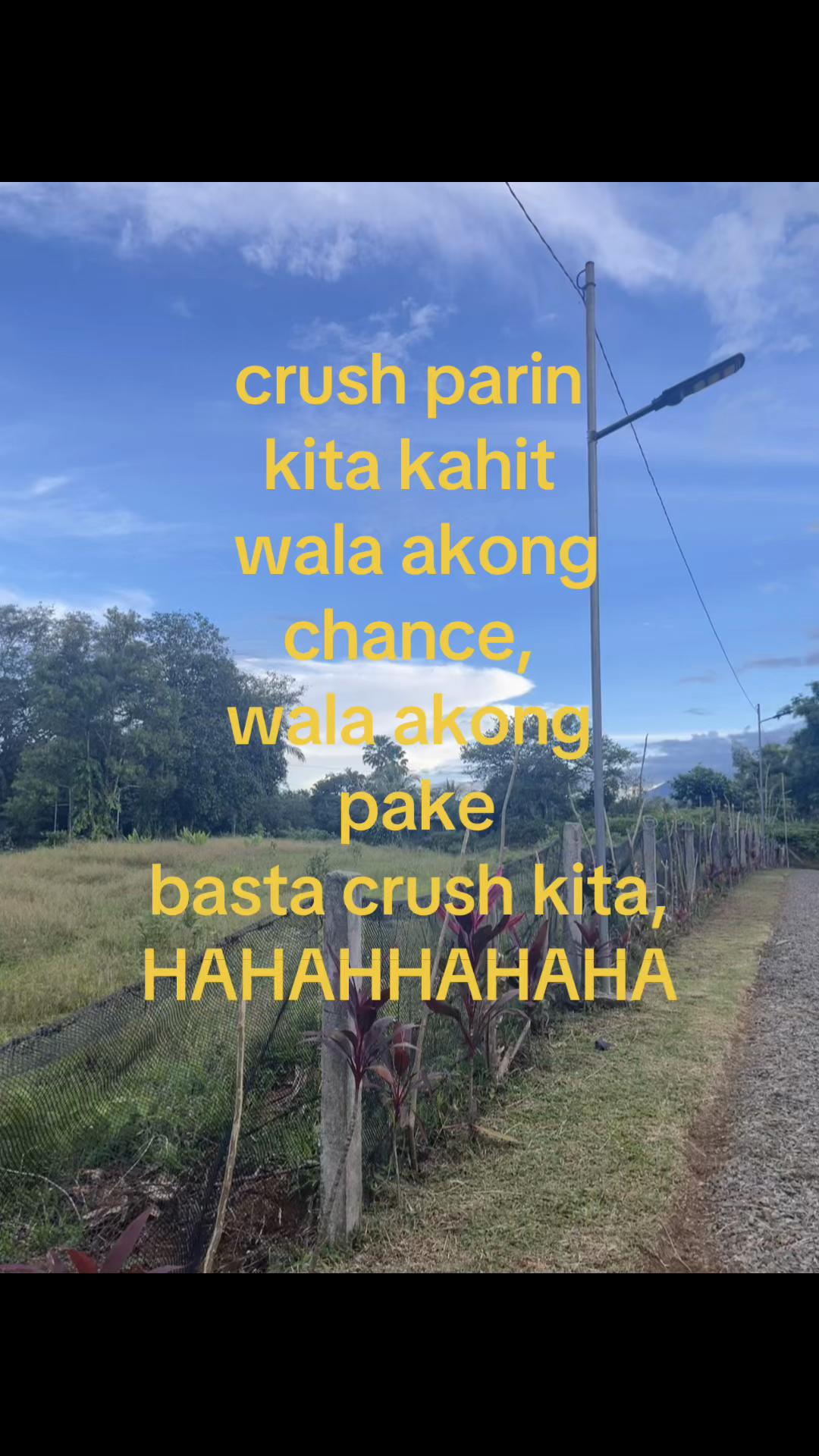 @Kollie🤓🍃