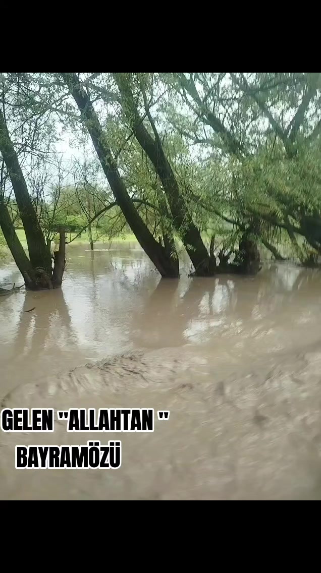 @Köksal Zeliha