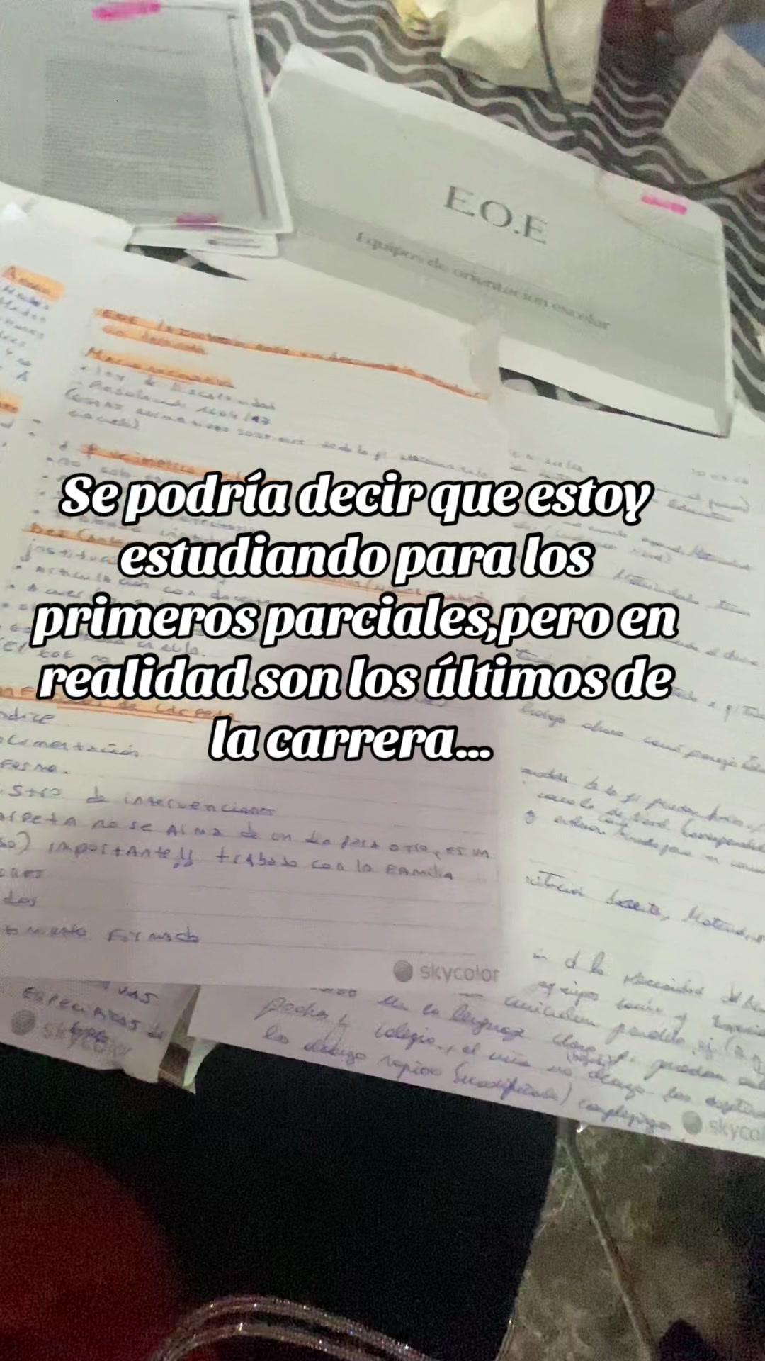 @Gabriela Selis